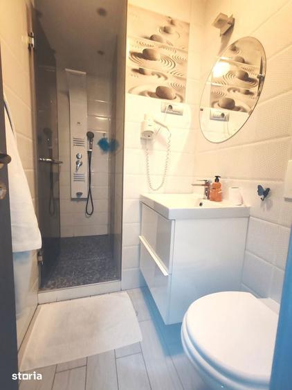 Apartament 3 camere Fratii Golesti, 100 mp, renovat, mobilat si utilat - 11