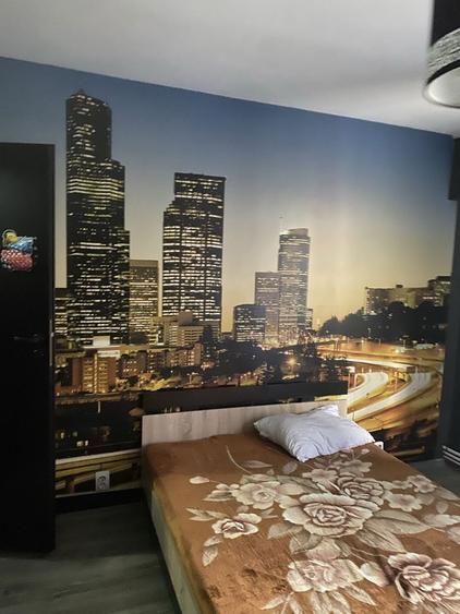 Ofer spre inchiriere apartament o camera - 2