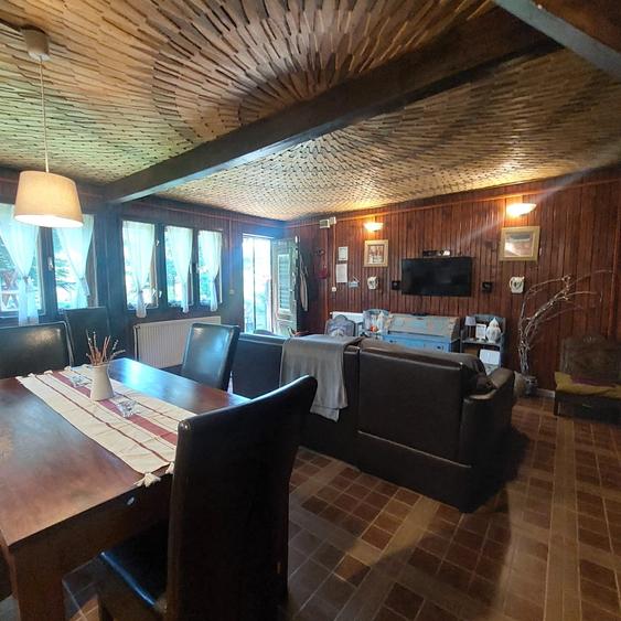 Casa de vacanta (Pensiune) in Lepsa - 15