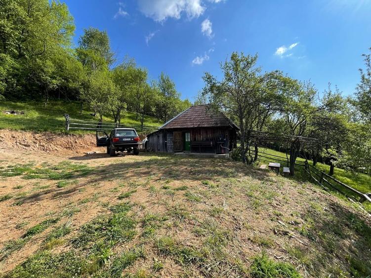 Casa, livada si padure in com Batrana judetul Hunedoara tinutul padurenilor. - 2