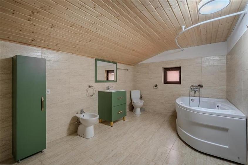 PROGRESUL GIURGIULUI,VILA INDIVIDUALA,5 CAMERE,221 MP,TEREN 379 MP - 14