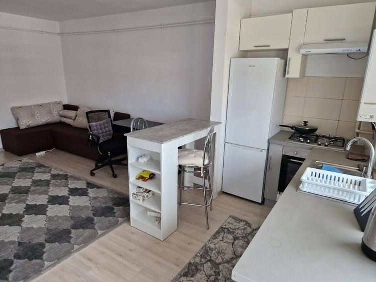 Apartament studio complex Sub Cetate Green Residence - 3