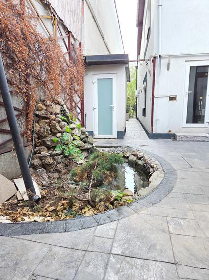 Voluntari, Andronache, vila P+1+M renovata, curte amenajata - 25