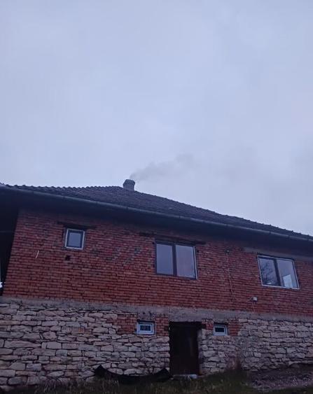 Chelinta, casa 1,2ha teren - 4