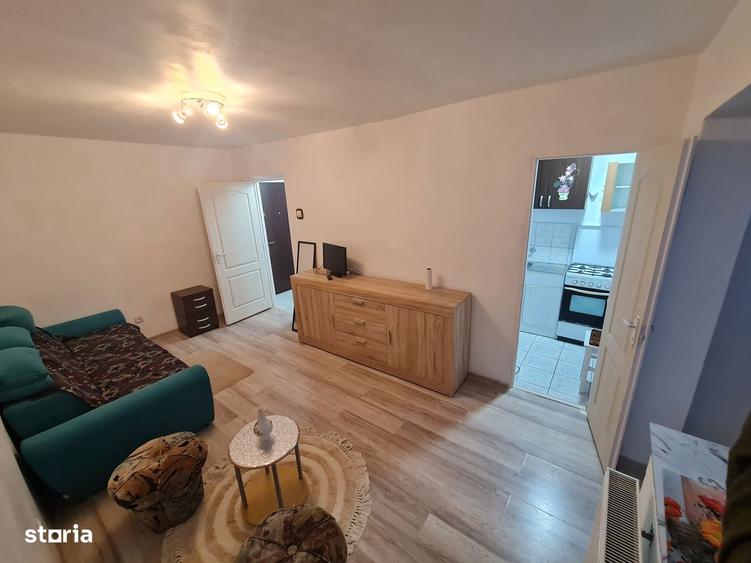 Inchitiez Garsoniera Confort 1 Micalaca Cenad,proaspat Zugravita Eta3 - 2