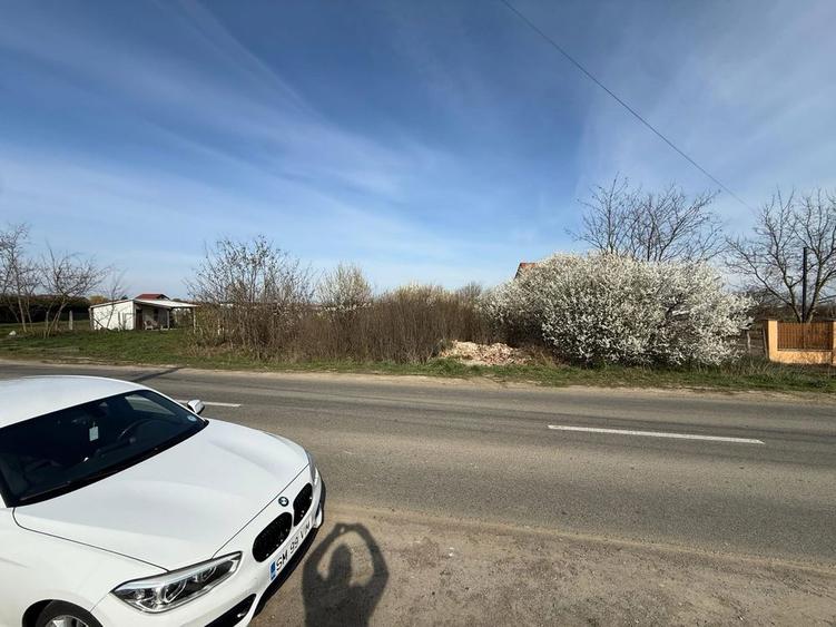 Ofer Teren intravilan 86 Arii spre vanzare la intrare in Vetis - 5