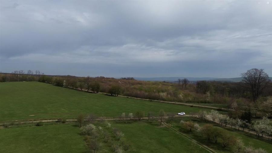 Teren intravilan 5800 mp Mitocasi - Suceava! - 7