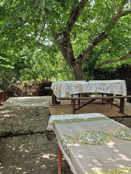 Sat Murani, Com. Pischia, Judetul Timis - 4