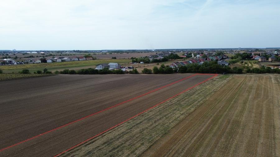 Darza, teren intravilan 6.000 mp, 13 euro/mp deal pentru case, ferma, productie - 5