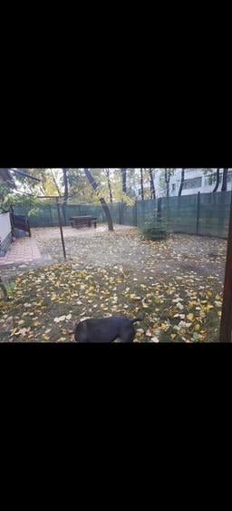 Vand apartament 3 camere - 4