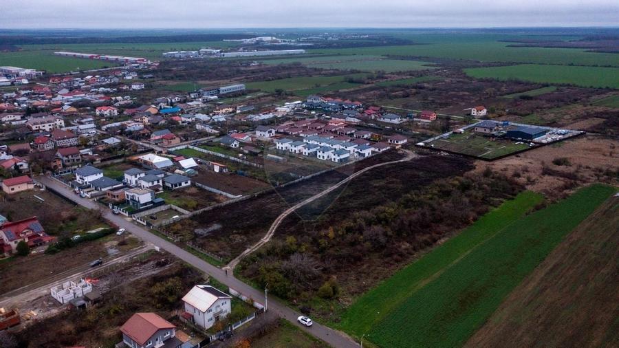 Vanzare teren intravilan 10.000mp Afumati - Strada Teiului - 7