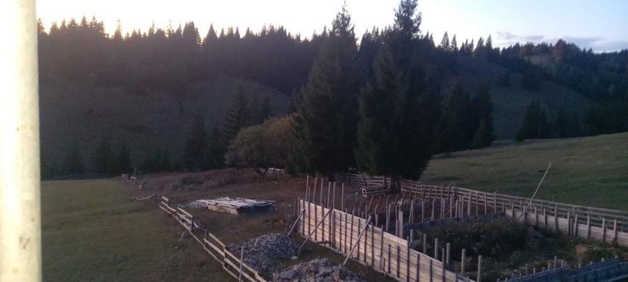 Teren de vanzare - 3