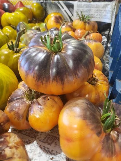 Proprietate de vanzare langa Bucuresti - 2