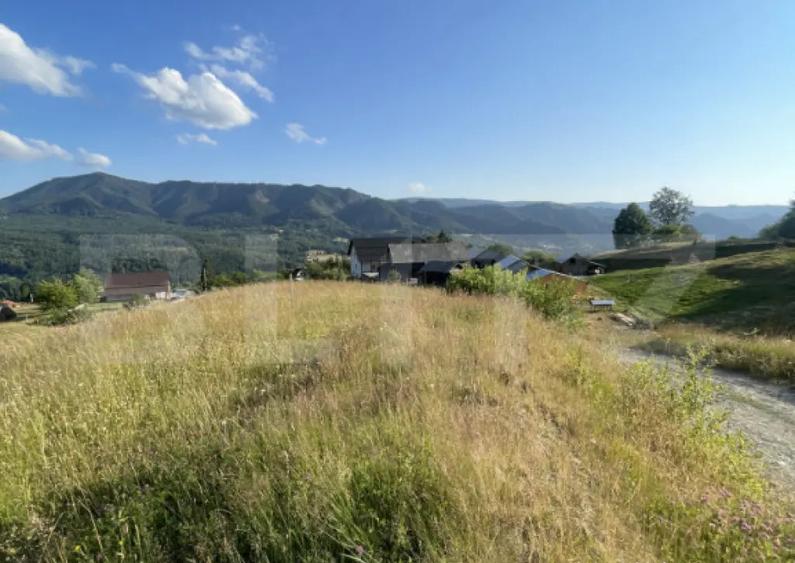 Teren de vanzare 1251 mp in Colibi?a, cu panorama su - 3