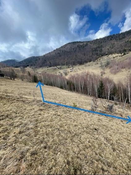 VÂNZARE TEREN CU POTENȚIAL DE DEZVOLTARE ÎN ZONA TURISTICĂ MAGURA-PESTERA - 7