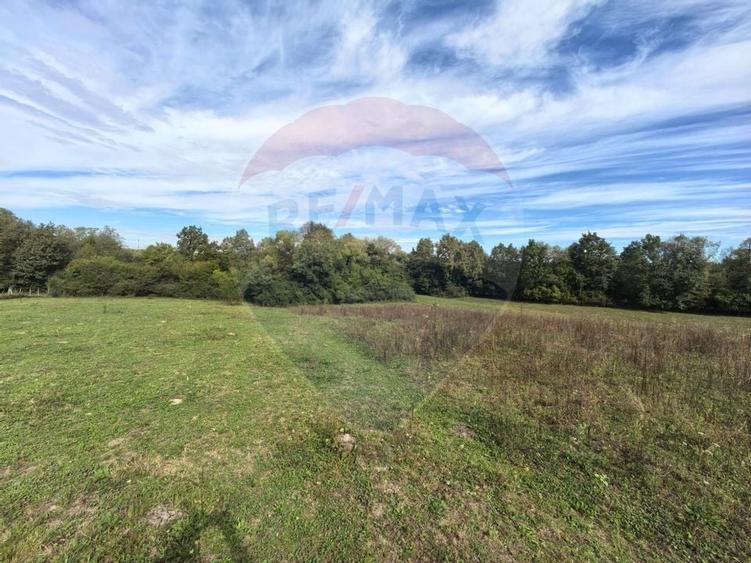 Teren 5,600mp Finteusu Mic / Strada Principala - 4