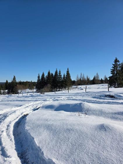 Teren 4000mp, in zona montana, Belis/Cluj - 9