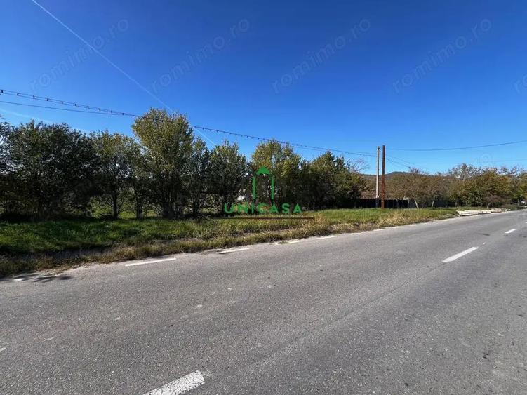 Teren intravilan/Str Balciului/Copacelu - 3