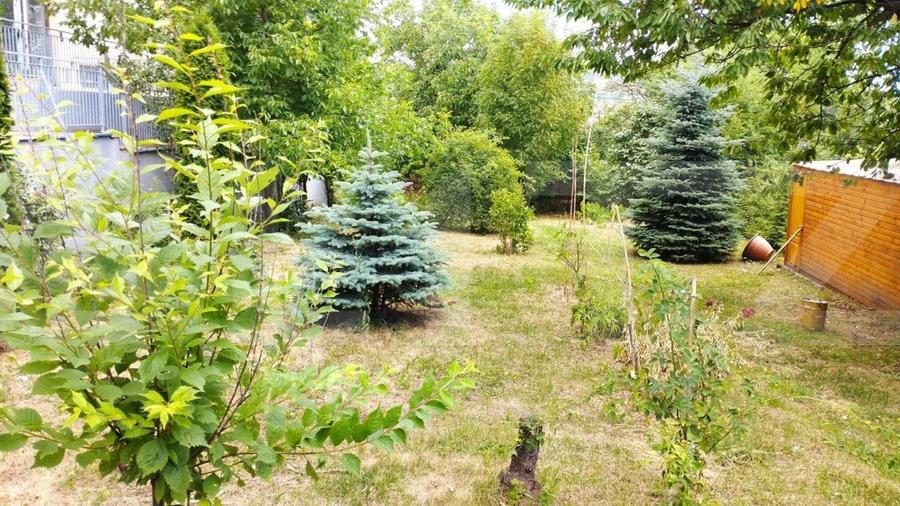 Oportunitate! Casa 300 mp utili, 1000 mp teren, zona Sapte Strazi! - 11