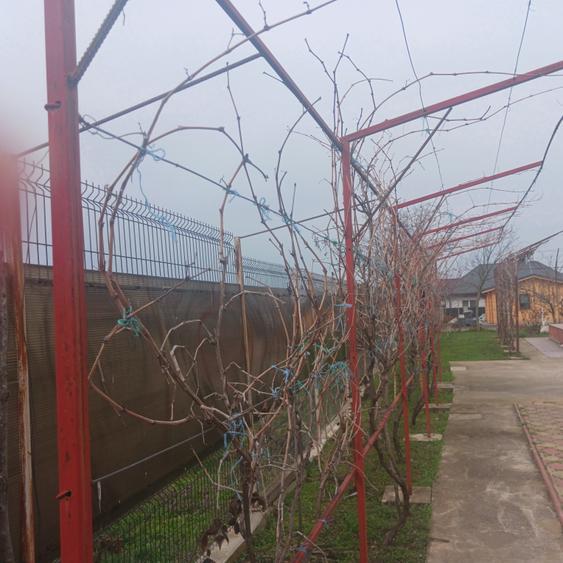 Vila P+E, 18 Km de Bucuresti-Adunatii Copaceni - 7