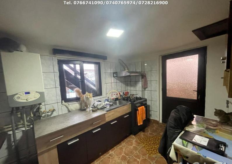 Casa P+M (6 Camere), Bumbesti Jiu - 9