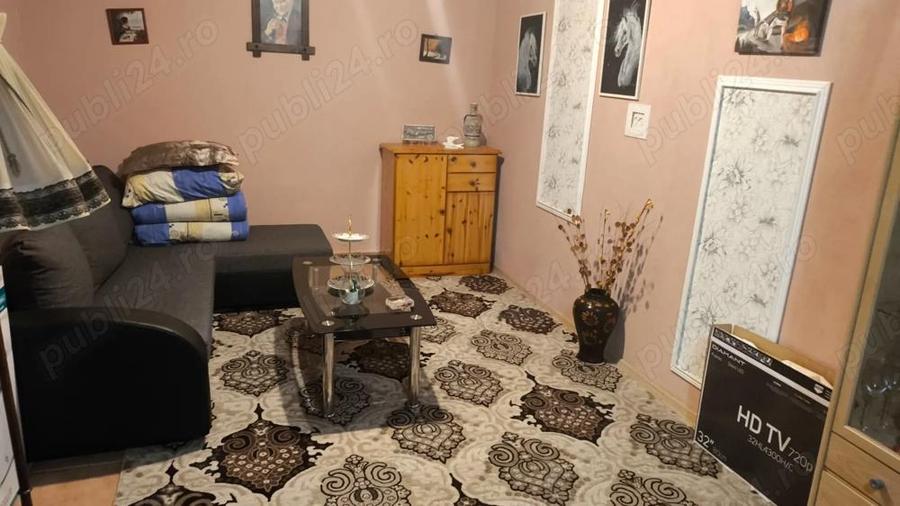 Casa de vacanta la Periam port - 5