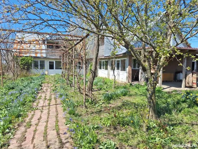 A 24 case 10000 mp teren Seciuieni Bacau - 8