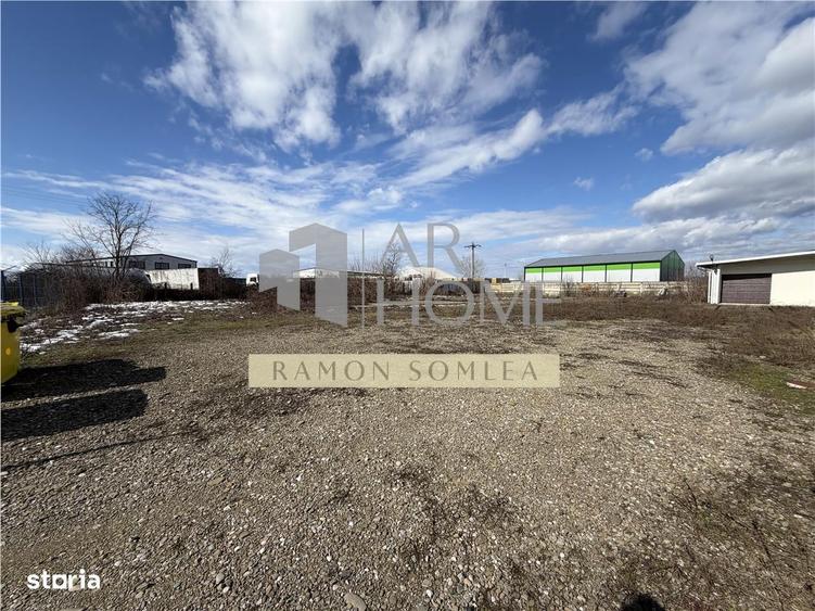 Vanzare Hala si teren industrial in Paulestii noi , Prahova - 17