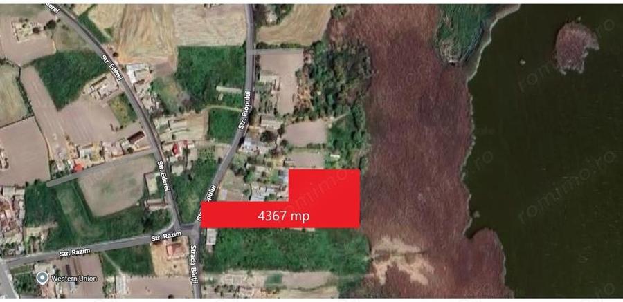 Teren intravilan 4367 mp Salcioara deschidere la lac - 1