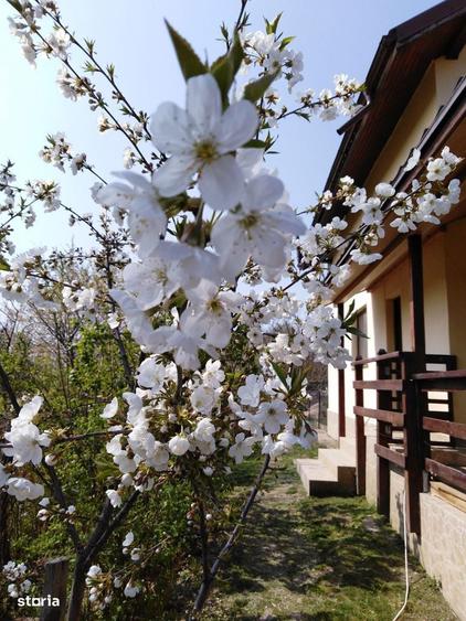 Vila cocheta Valter Maracineanu 87.000 euro - 4