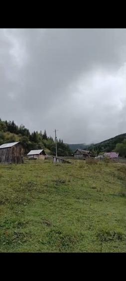 TEREN DORNA ARII - 7