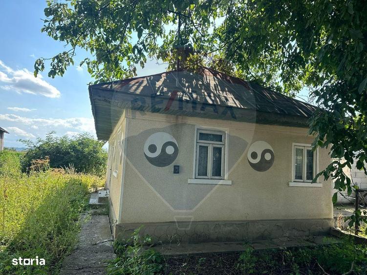 Teren intravilan 3.765 mp cu casa Bodesti de Jos - 4