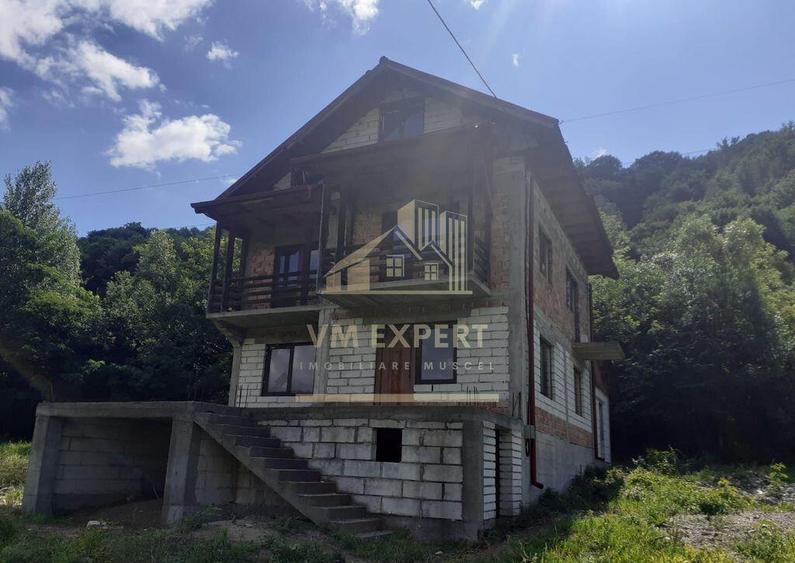 VILA 8 CAMERE, TEREN 5000 MP CAMPULUNG, APA SARATA - 9