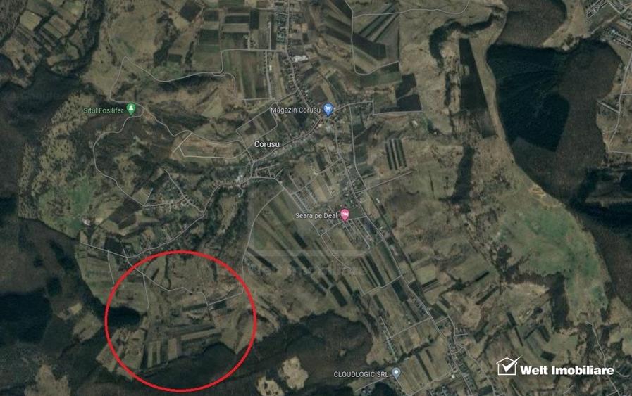 Teren extravilan 4400 mp, pozitie elevata, langa padure, Corusu - 1