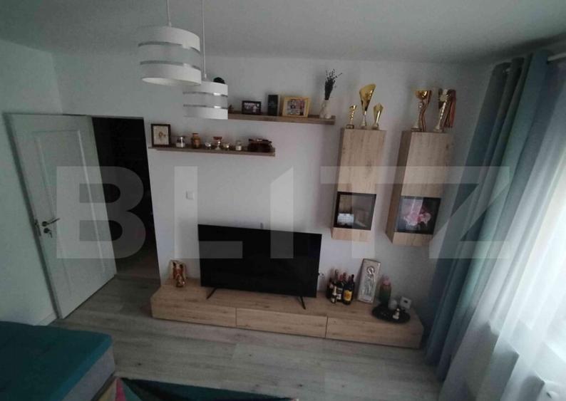 Apartament 2 camere Lunca Cetatuii - 1