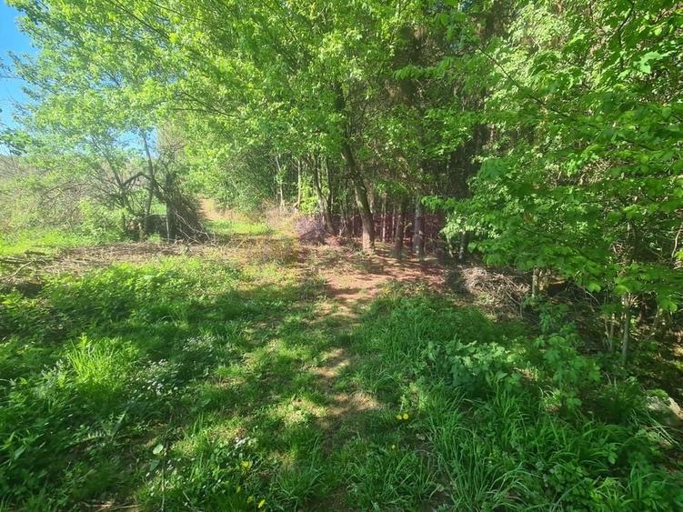 Teren de vanzare in Campina in zona retrasa - 11