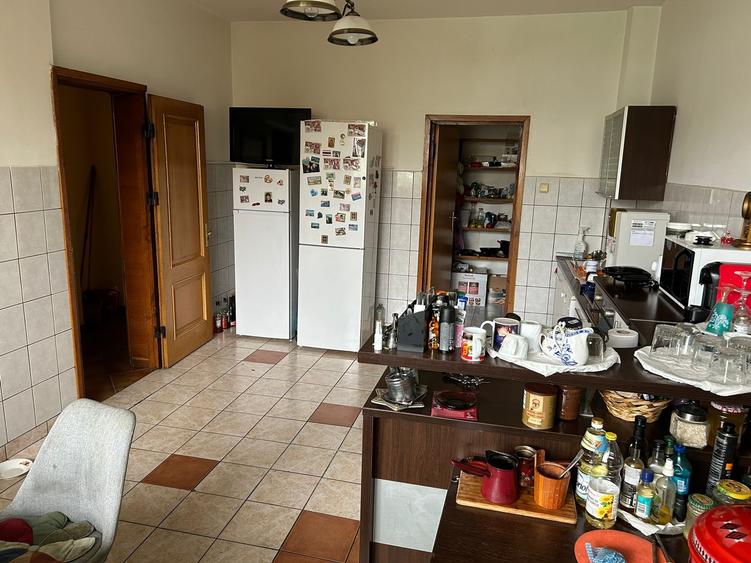 Vila 2008 str Ana Ipatescu - 9