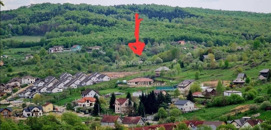 Teren 15 ari cu verdeata si panorama superba Str Paltinului Bistrita