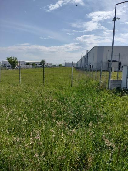 Teren intravilan Strada Narciselor suprafata de 6250mp - 1