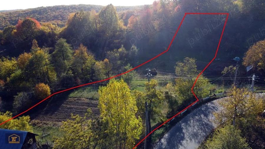 Teren de vanzare in comuna Valea Danului, sat Verne?ti, Jude? Arge?. - 13