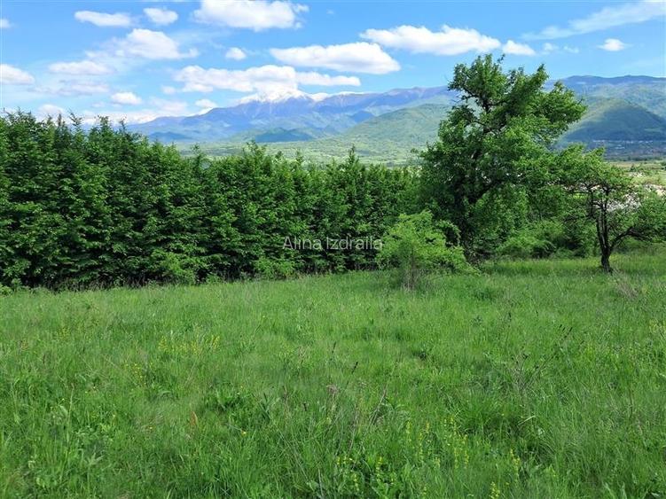 Teren de vanzare la liziera padurii in Talmaciu Teren de vanzare la liziera padurii in Talmaciu