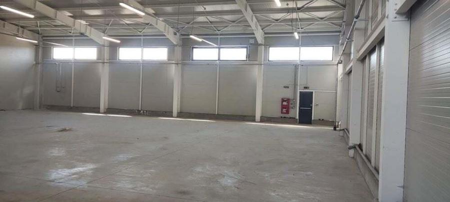 2 hale noi Voluntari -Afumati Doraly - 2