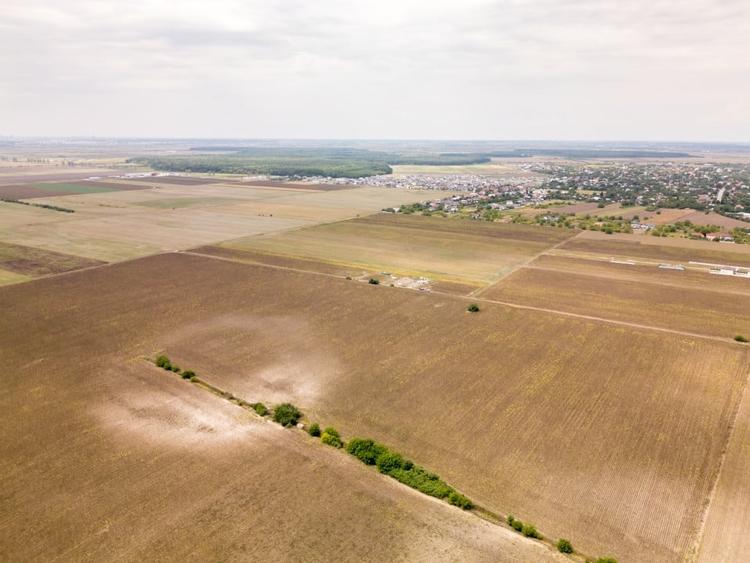 Teren Construcții intravilan de 11332 mp, în Dascălu
