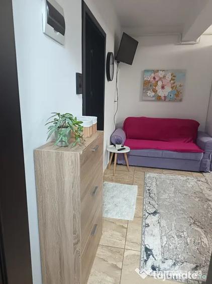 Apartament cu 2 camere semidecomandat în Păcurari
