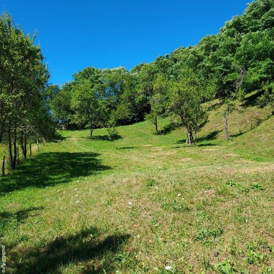 Teren de 3800 mp, în Arefu