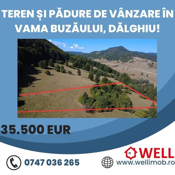 Teren extravilan de 7766 mp, în Dălghiu