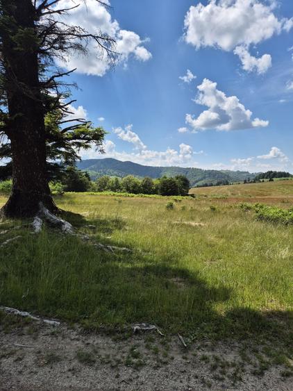 Teren de 3546 mp, în Holbav
