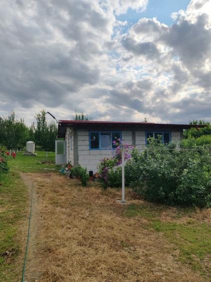 Casă cu 4 camere cu Teren 4800 Mp în Crețești