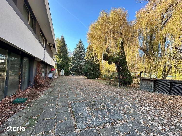 Spatiu comercial de inchiriat/alim. publica/295mp+terasa/Grigorescu - 1