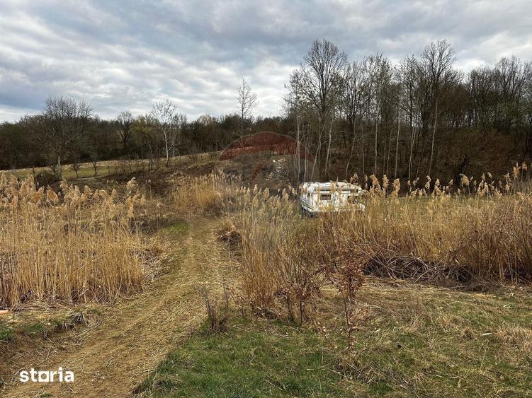 Teren cu panorama superba in Berchezoaia + bonus rulota - 4